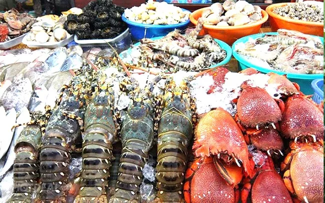 chợ tân hiệp cù lao chàm