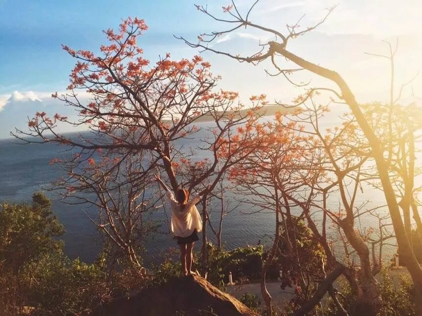 hoa ngo dong cu lao cham mytour 7