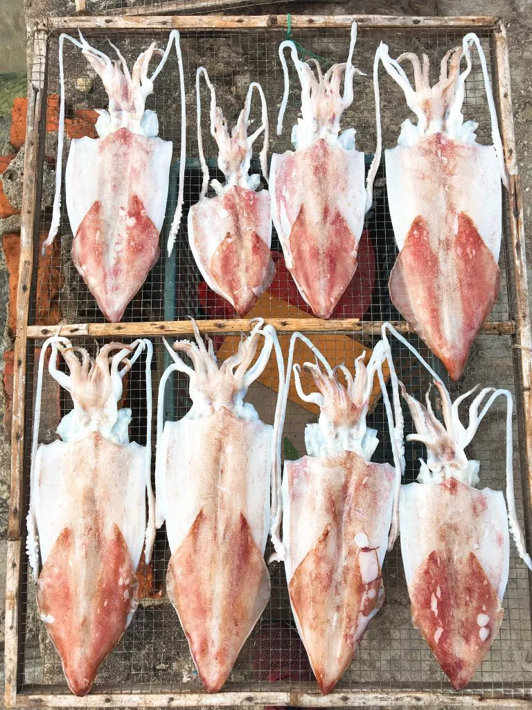 mực copy