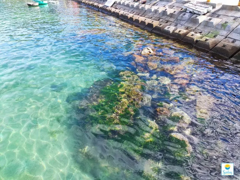 tour du lịch Cù Lao Chàm